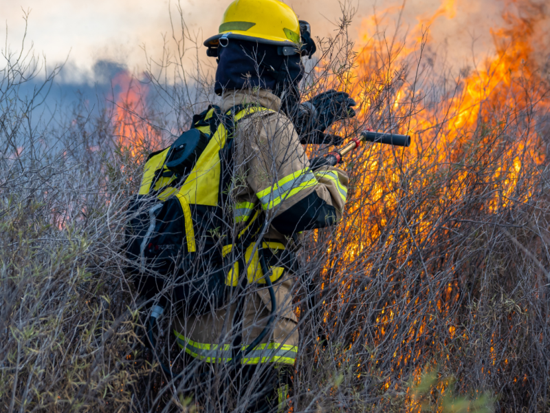 Πυροσβέστης προσπαθεί να σβησει φωτιά σε δάσος